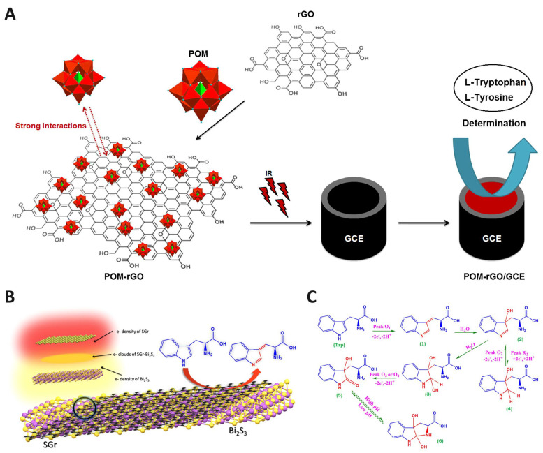 Advanced Electrochemical Sensors for Rapid and Sensitive Monitoring of Tryptophan and Tryptamine in Clinical Diagnostics.