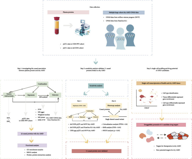 Genetically Prioritized Plasma Proteins as Candidate Therapeutic Targets for Dry Age-Related Macular Degeneration.