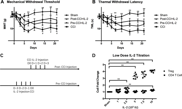 Low-Dose IL-2 Attenuates Neuropathic Pain via Treg Expansion in Rats.