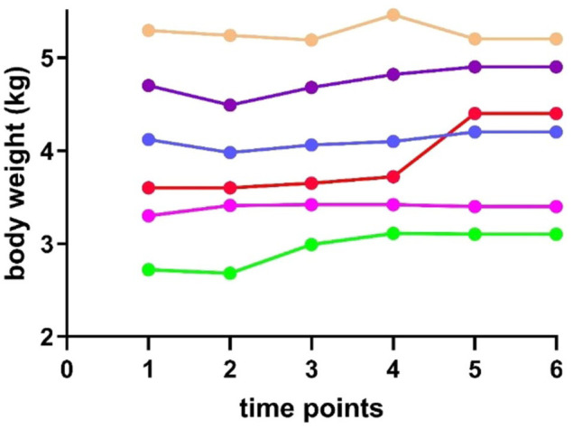 Progression of lipase activity and pancreatic lipase immunoreactivity in clinically healthy cats and cats with diet-responsive enteropathy.