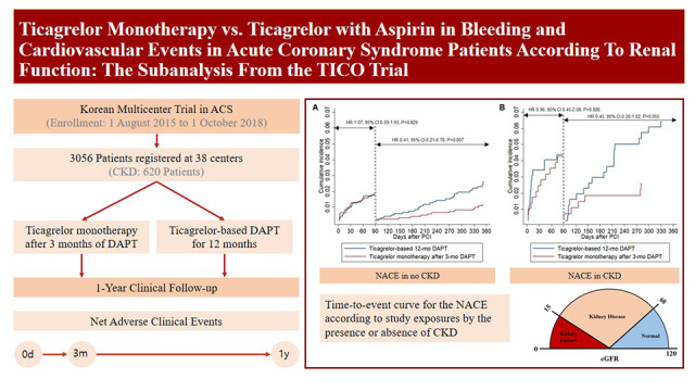 Ticagrelor Monotherapy <i>vs.</i> Ticagrelor With Aspirin in Bleeding and Cardiovascular Events in Acute Coronary Syndrome Patients According to Renal Function: The Subanalysis From the TICO Trial.