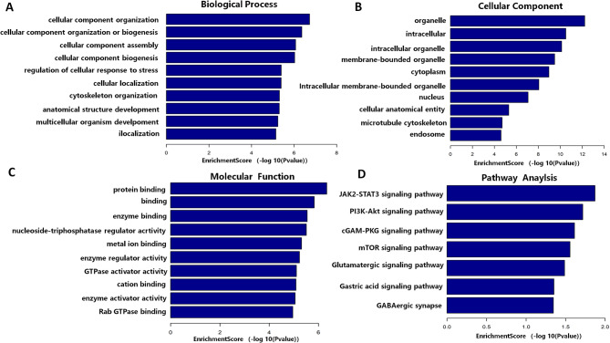 Identification of aberrantly expressed circular RNAs in choroidal neovascularization in mice.