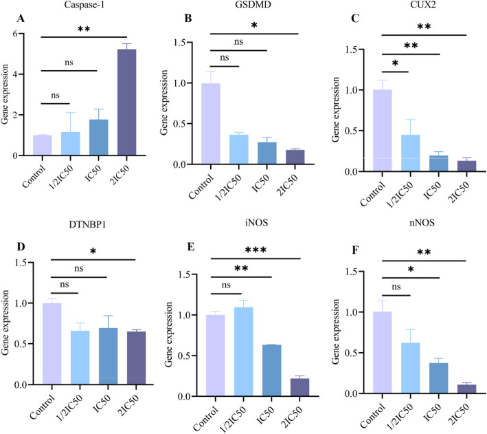 Research on the correlation of nitric oxide-induced neuronal cell pyroptosis with schizophrenia and its cognitive impairment.
