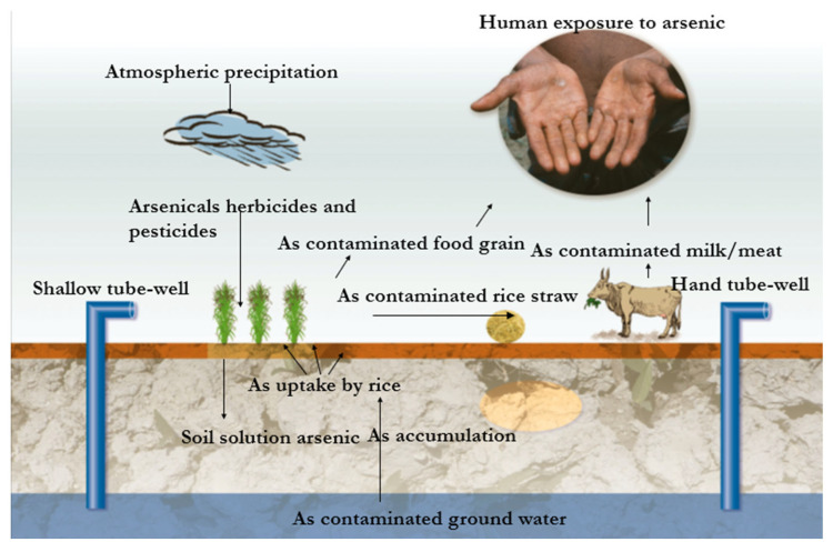 Integrated Approaches of Arsenic Remediation from Wastewater: A Comprehensive Review of Microbial, Bio-Based, and Advanced Technologies.