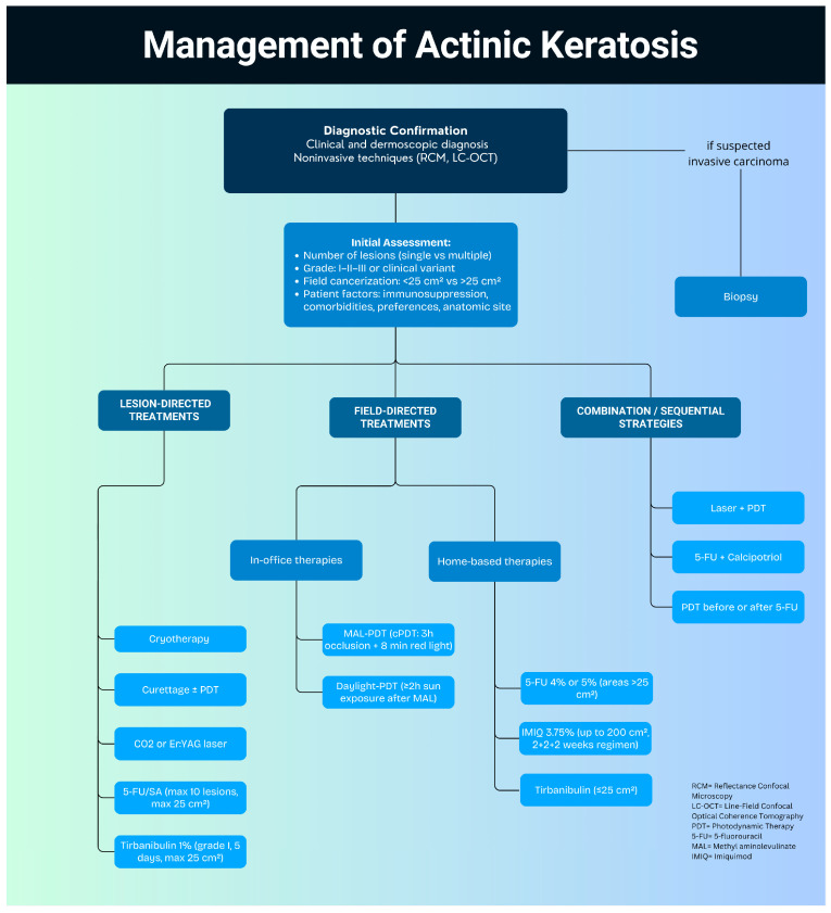 The State of the Art in the Treatment of Actinic Keratosis and Field Cancerization: A Narrative Review.
