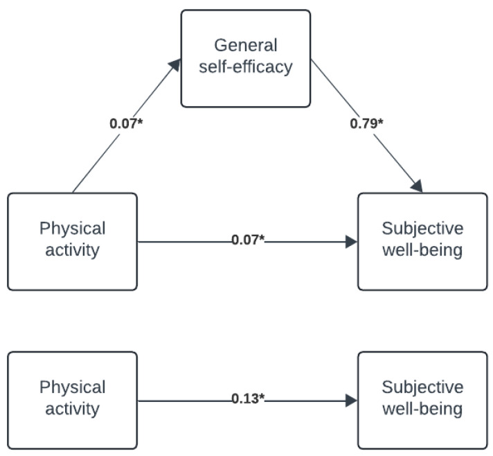 General Self-Efficacy as a Mediator of Physical Activity's Impact on Well-Being Among Norwegian Adolescents: A Gender and Age Perspective.