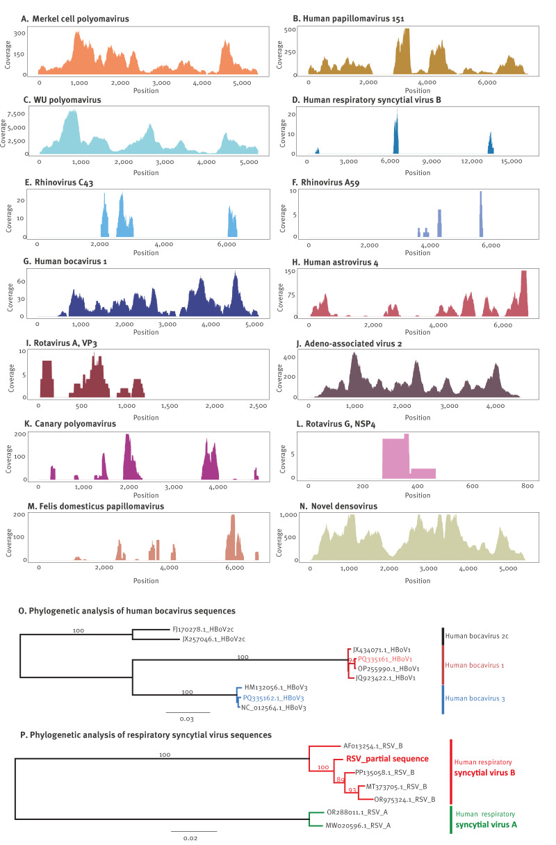 Shotgun metagenomics on indoor air for surveillance of respiratory, enteric, and skin viruses in a Belgian daycare setting, January to December 2022.