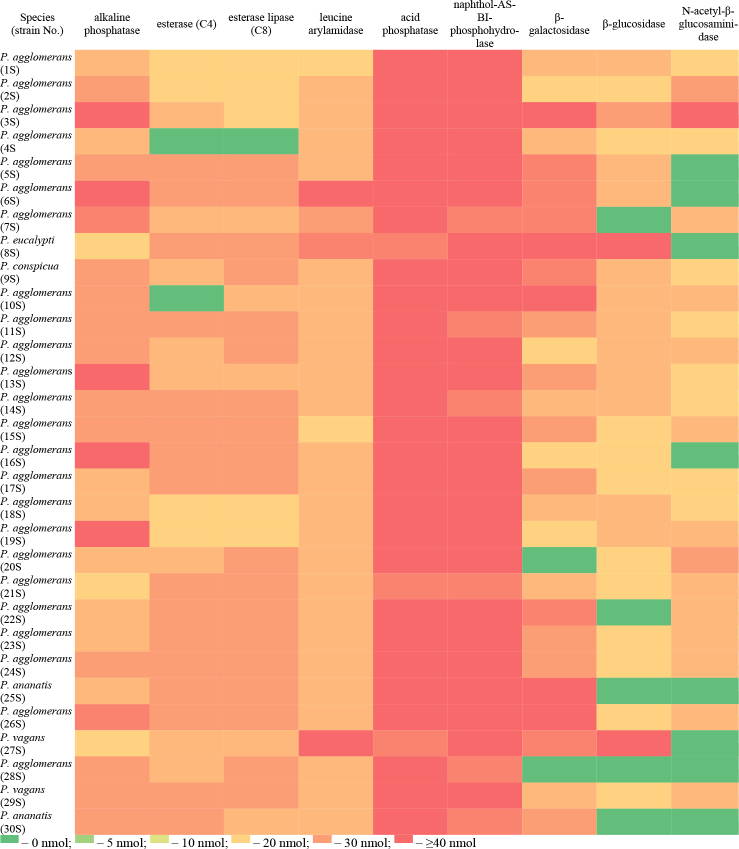 Genetic diversity, virulence factors and drug resistance of <i>Pantoea</i> strains isolated from samples of fresh fruits, vegetables and soil.
