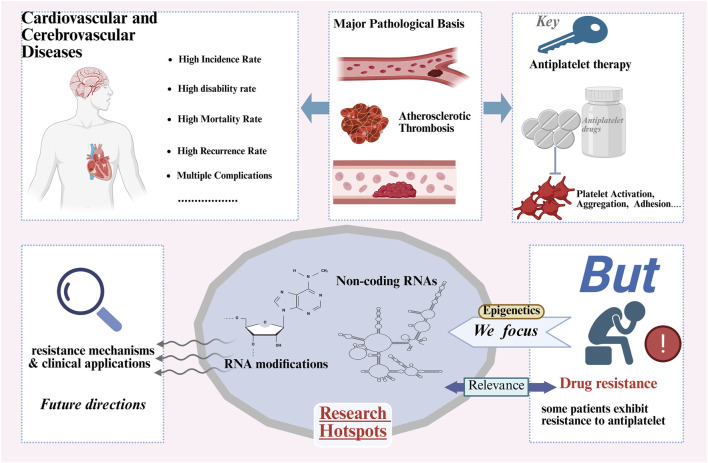 Mechanisms and recent advances in non-coding RNAs and RNA modifications in antiplatelet drug resistance.