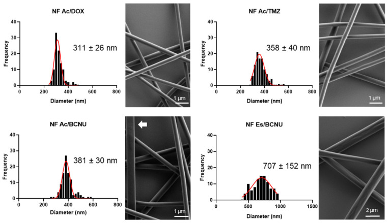 Electrospun PMVEMA Nanofibers Developed as a Fast-Release Platform for Antineoplastic Drugs Tested in Glioblastoma Primary Cultures.