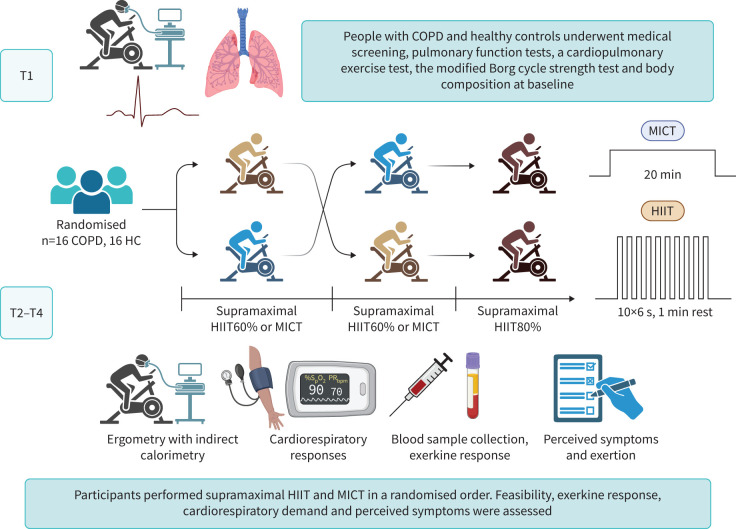 Feasibility and acute physiological responses to supramaximal high-intensity interval training in COPD: a randomised crossover trial.