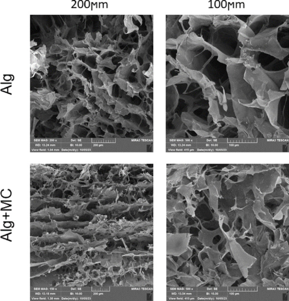 From monolayer to spheroid: assessing influenza a virus infection in 2D and 3D cell culture of A549 and HEK293.