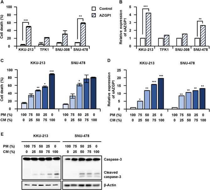 Secreted AZGP1 induced by 5-FU binds to PD-L1 and promotes apoptosis in cholangiocarcinoma.