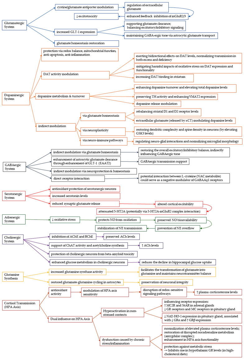 The Central Nervous System Modulatory Activities of N-Acetylcysteine: A Synthesis of Two Decades of Evidence.