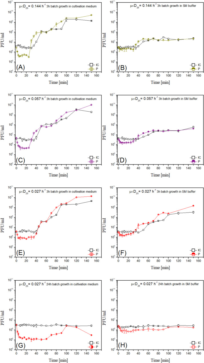 Bacteriophage T4 propagation in E.coli exposed to severe substrate limitation.