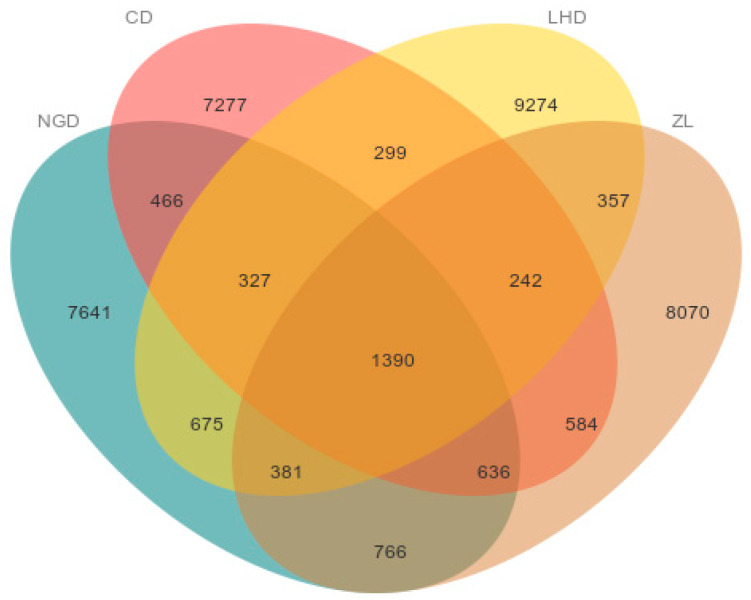 Analysis of Microbial Community Structure and Diversity in Different Soil Use Types in the Luo River Basin.