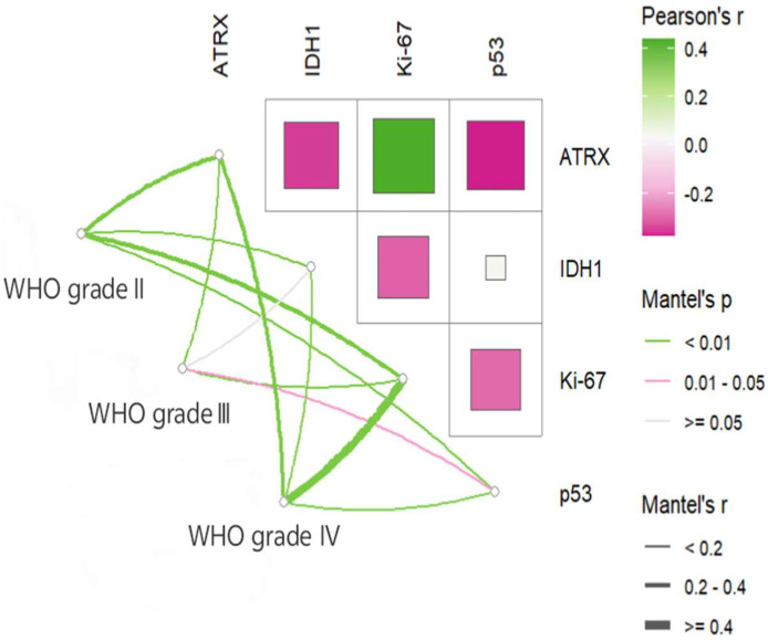 The Prognostic Value of a Nomogram Model Based on Tumor Immune Markers and Clinical Factors for Adult Primary Glioma.
