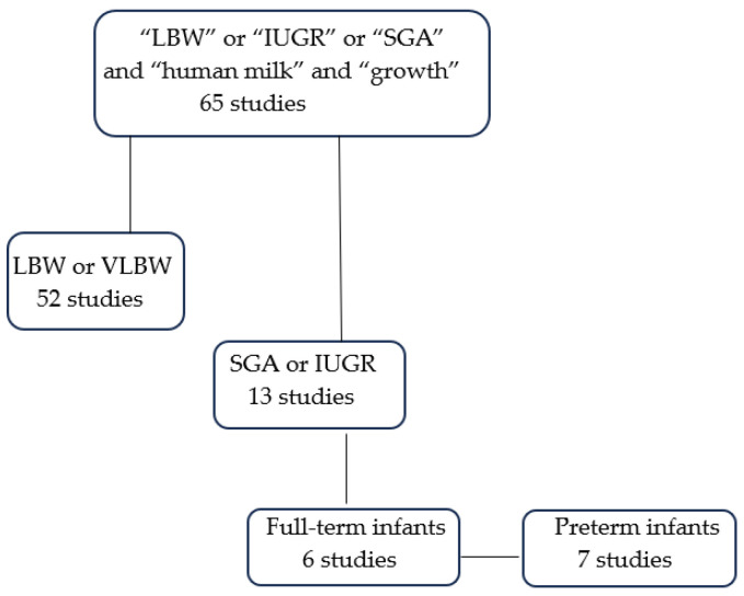Does Breastfeeding Small for Gestational Age Neonates Promote a Healthier Growth Pattern? A Narrative Review.