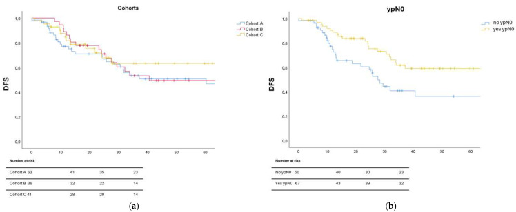 TCF Plus Radiochemotherapy Versus Neoadjuvant Radiochemotherapy Versus Flot Perioperative Chemotherapy in Esophageal Adenocarcinoma: The Results of a Three-Cohort, Multi-Centric Comparison: The A4 Study.