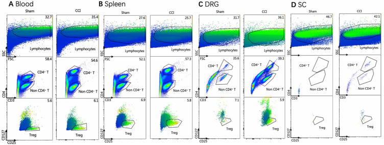 Low-Dose IL-2 Attenuates Neuropathic Pain via Treg Expansion in Rats.