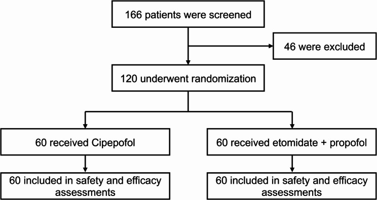 Safety and efficacy of cipepofol for painless digestive endoscopy in older patients: a randomized, double-blind, non-inferiority trial.
