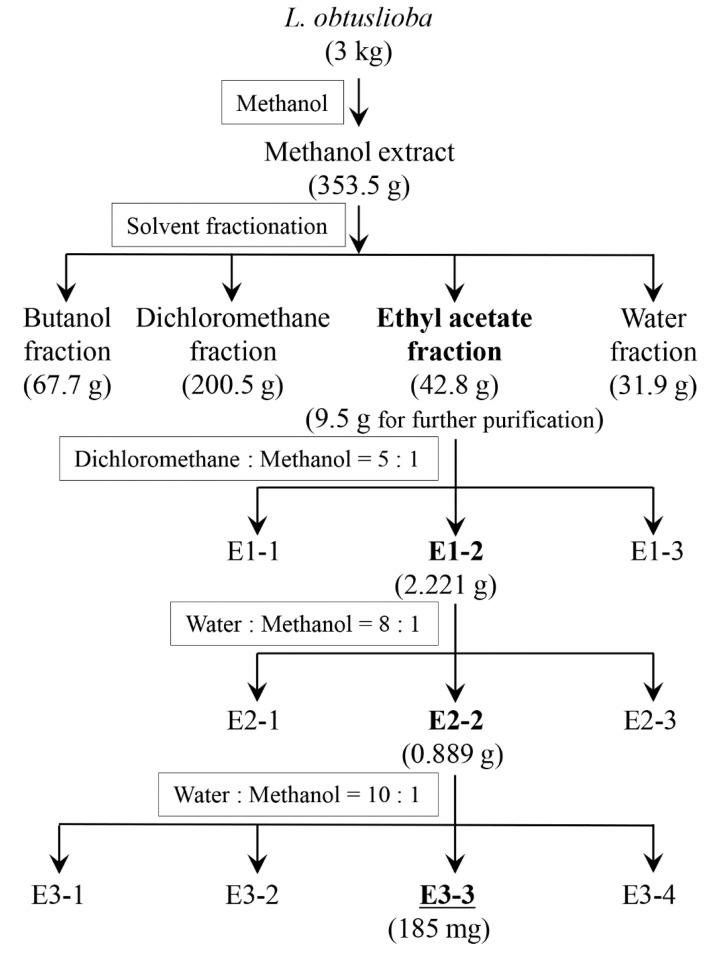 Selective Inhibition of <i>Yersinia enterocolitica</i> Type III Secretion by <i>Lindera obtusiloba</i> Extract and Cinnamtannin B1.