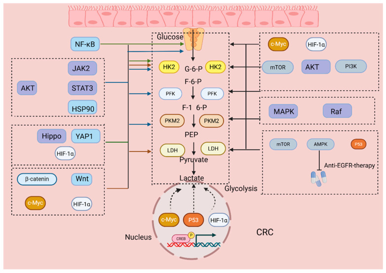 Crosstalk Between Metabolic Reprogramming and Epigenetic Modifications in Colorectal Cancer: Mechanisms and Clinical Applications.