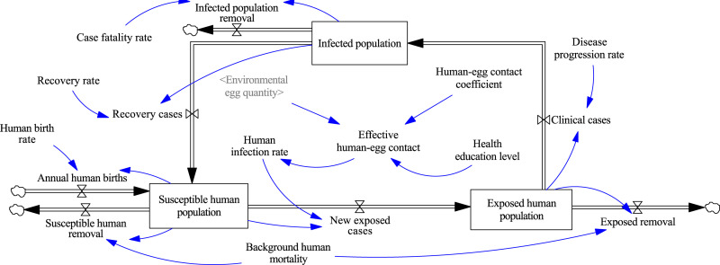 Optimization of echinococcosis control measures based on system dynamics.