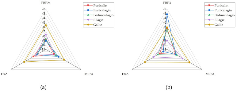 In Vitro and In Silico Analysis of Differential Antibacterial Activity of Pomegranate Polyphenols Against Gram-Positive and Gram-Negative Bacteria.