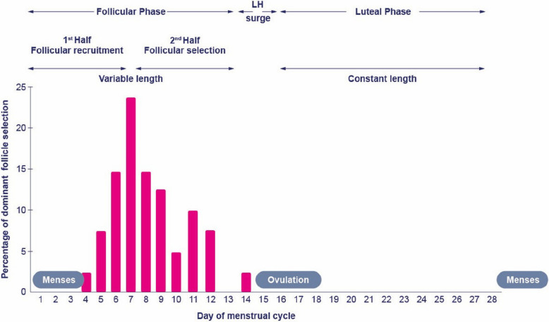 Integrating impact of FSH isoforms, androgens and inhibin-B on follicular development based on a two-phase model of the follicular phase.