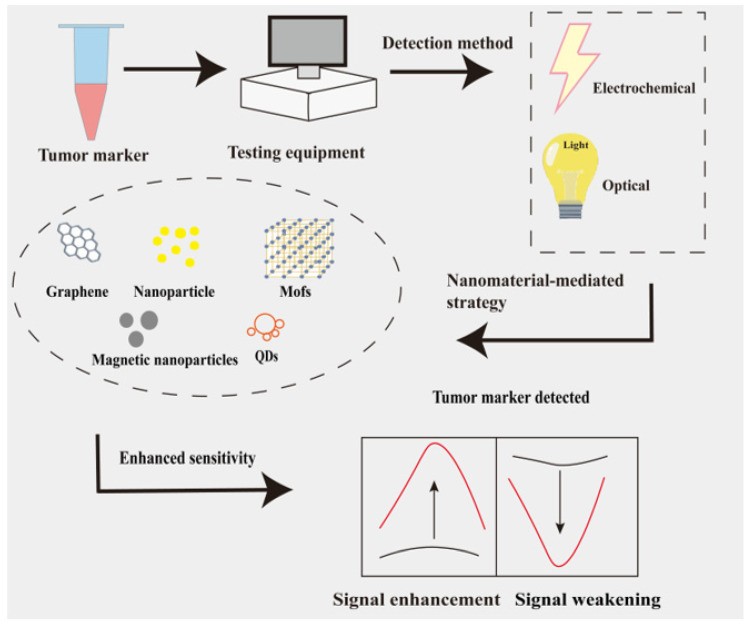 Nanomaterial-Mediated Electrochemical and Optical Biosensors and Their Application in Tumour Marker Detection.