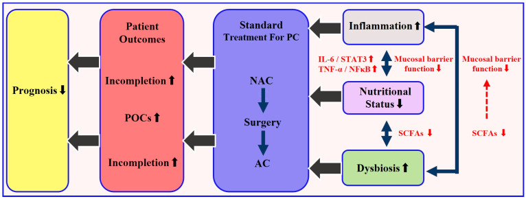 Nutritional Status and Chemotherapy Completion in Resectable Pancreatic Cancer: A Narrative Review.