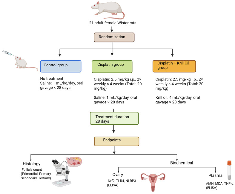 Krill Oil Mitigates Cisplatin-Induced Ovarian Toxicity via Attenuation of Oxidative Stress and Inflammatory Pathways.