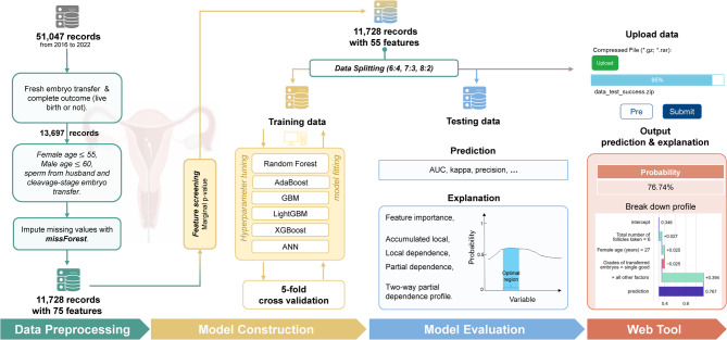 Predictive models for live birth outcomes following fresh embryo transfer in assisted reproductive technologies using machine learning.
