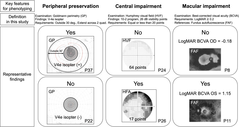 Deep phenotyping of eyes shut homolog-associated retinopathy based on visual impairment patterns.