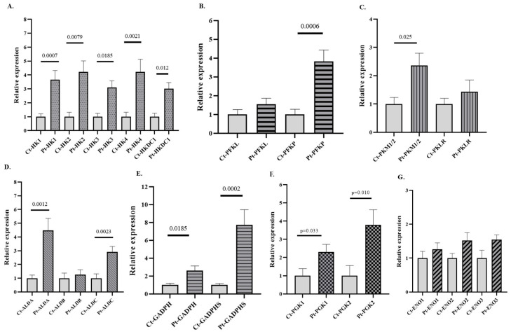 Dysregulated Expression of Canonical and Non-Canonical Glycolytic Enzyme Isoforms in Peripheral Blood from Subjects with Alcohol Use Disorder and from Individuals with Acute Alcohol Consumption.