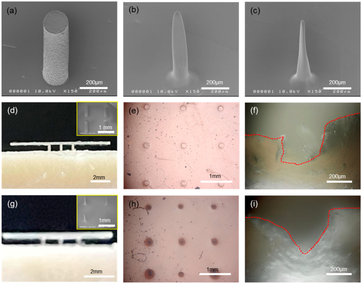 Flexible and Stretchable Microneedle Electrode Arrays by Soft Lithography for Continuous Monitoring of Glucose.