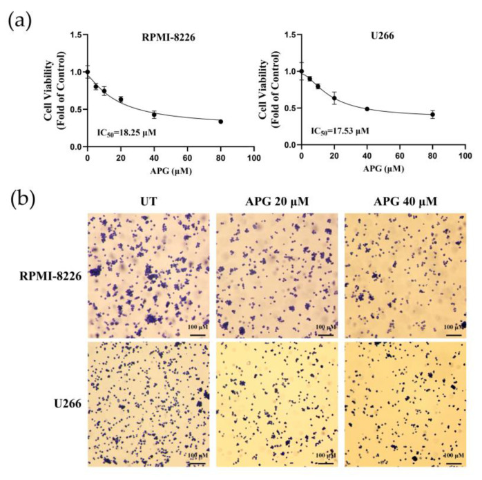 The Anti-Tumor and Bortezomib-Sensitizing Effects of Apigenin in Multiple Myeloma.