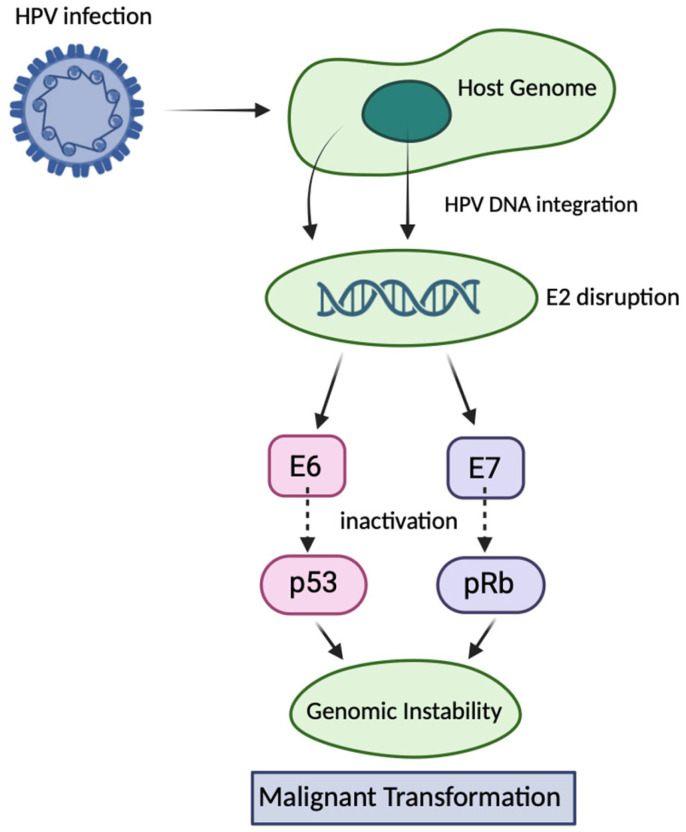 Emerging Therapeutic Strategies for HPV-Related Cancers: From Gene Editing to Precision Oncology.