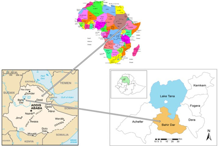 Left behind in primary healthcare: A qualitative exploration of healthcare experiences of people with disabilities in Ethiopia.