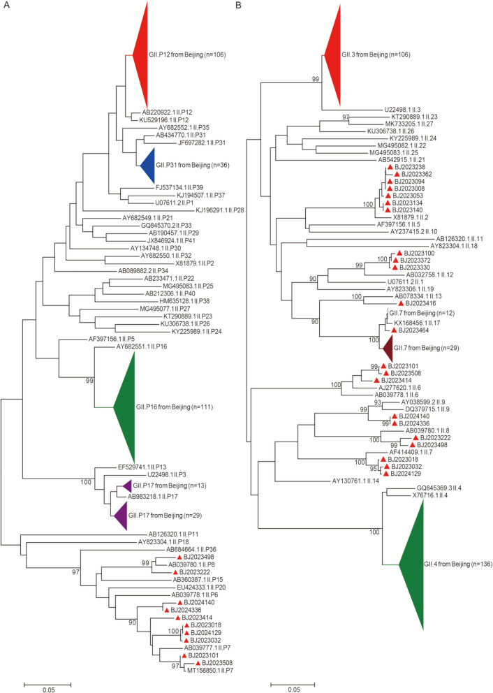 Epidemiology and genetic diversity of norovirus GII genogroups among pediatric patients in Beijing, China, during 2023-2024.