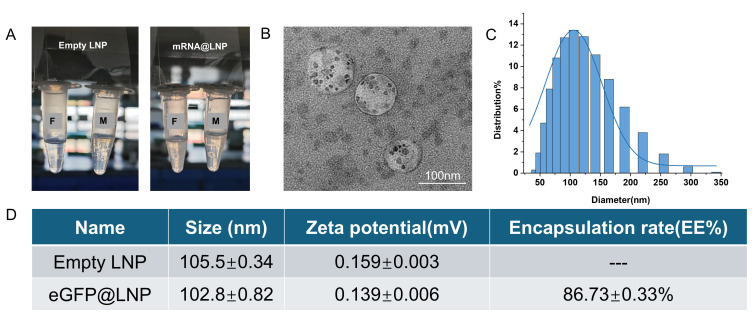 Cost-Effective and Reproducible Preparation of mRNA-Loaded Lipid Nanoparticles Using a Conventional Laboratory-Scale Microfluidic Assembly System.