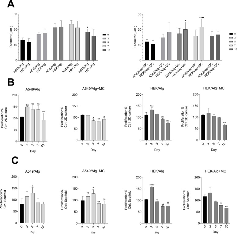 From monolayer to spheroid: assessing influenza a virus infection in 2D and 3D cell culture of A549 and HEK293.