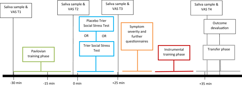 Risky online buying-shopping behavior: The role of stress responsivity on the transfer from goal-directed behavior to stimulus-response habits.