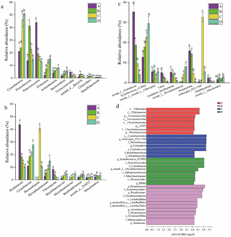 Characteristics of gut microbiota in <i>Penaeus vannamei</i> shifted with elevated salinity.