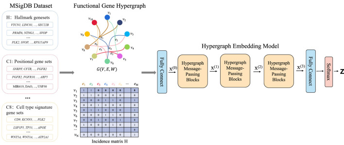 A hypergraph neural network for prioritizing Alzheimer's disease risk genes.