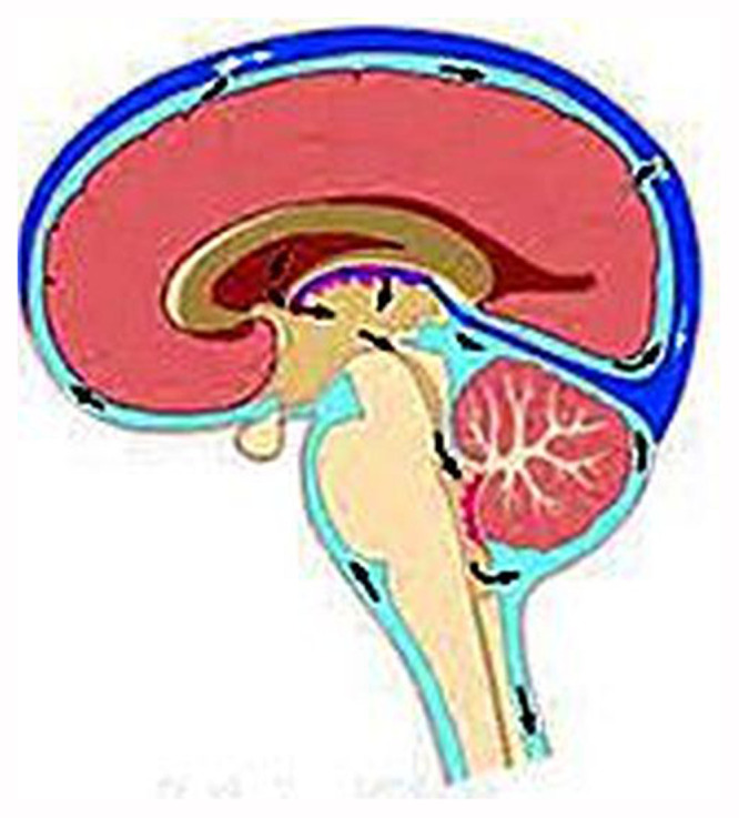 Clinical Improvement in a Case of Alternating Hemiplegia of Childhood After Cerebral Lymphatic Drainage.