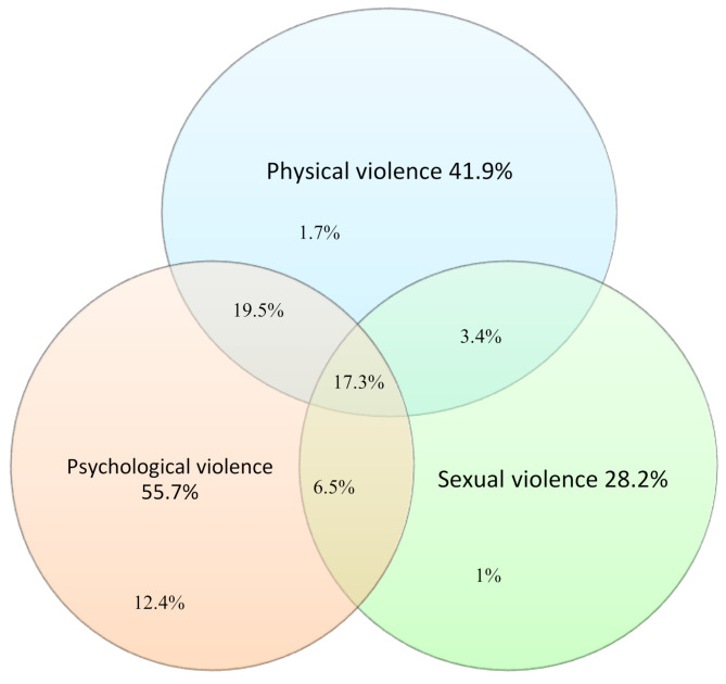 Violence against housemaids and associated factors in Jimma town, Southwest Ethiopia, 2023.
