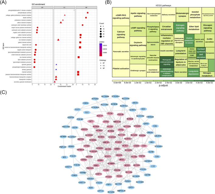 Discovering biomarkers for chronic sinusitis with nasal polyps: a study integrating bioinformatics analysis and experimental validation of macrophage polarization and metabolism-related genes.