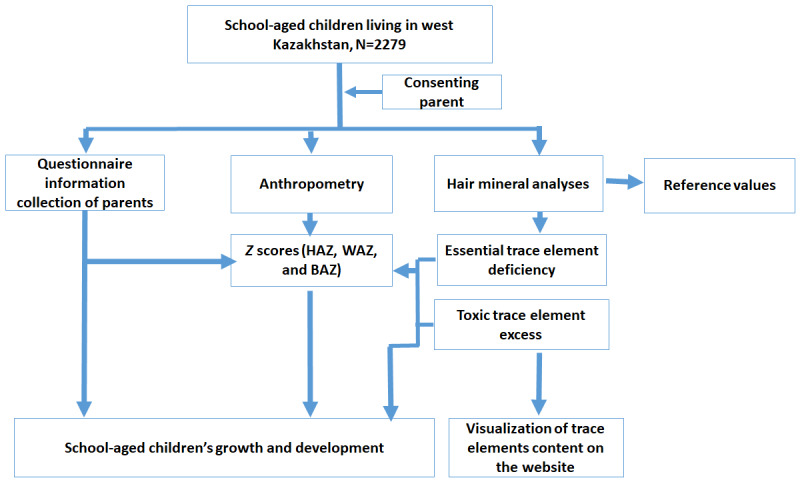 Association Between Hair Trace Element Content and Children's Growth and Development: Protocol for a Cross-Sectional Surveillance Study.